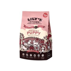 Lily's Kitchen Ξηρά Τροφή για Κουτάβια με Κοτόπουλο-Σολωμό 1kg